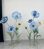 Poppy Reverie