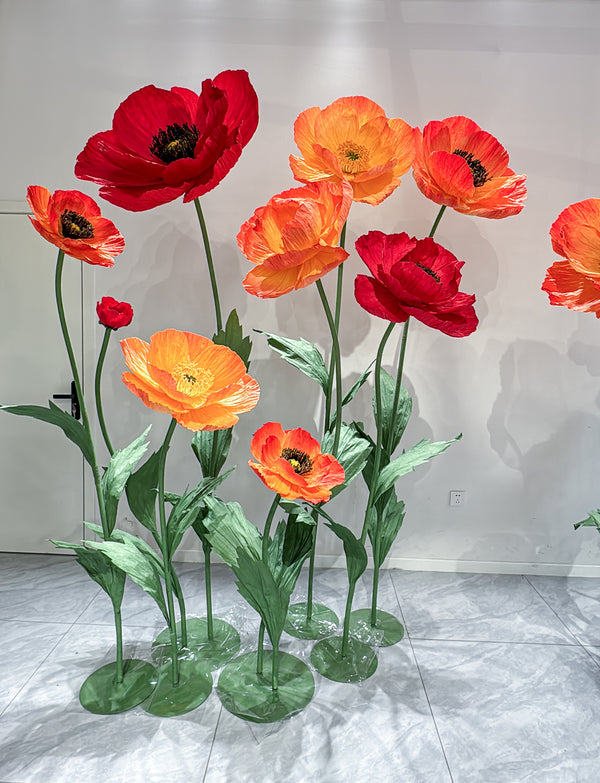 Vibrant Summer Poppy Garden