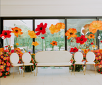 Vibrant Summer Poppy Garden