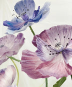 Majestic Purple Poppy