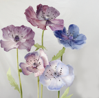 Majestic Purple Poppy