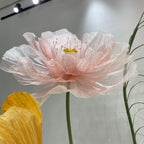 Blooming Splendor