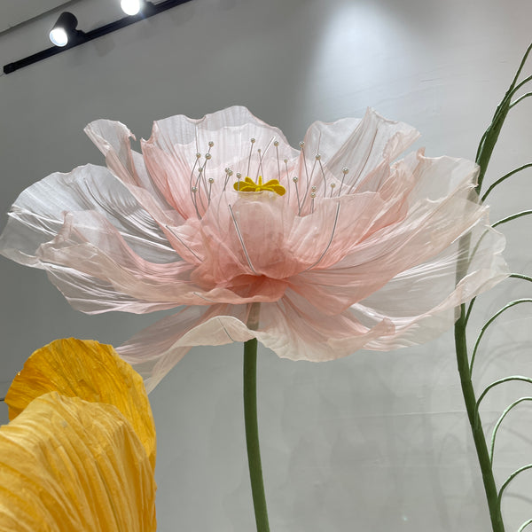 Blooming Splendor