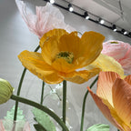 Blooming Splendor