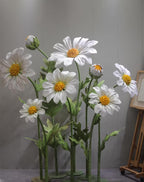 Field of Daisies (Water-resistant)