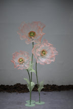 Enchanting Silk Poppy