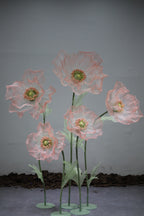 Enchanting Silk Poppy