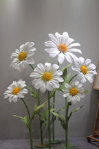 Field of Daisies (Water-resistant)