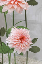 Elegant Dahlia Delight