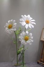Field of Daisies (Water-resistant)