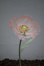 Enchanting Silk Poppy