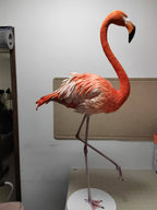 Graceful Handmade Paper Bird
