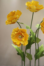Golden Poppy (Water-resistant)