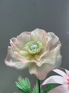 Dancing Petals in the Breeze
