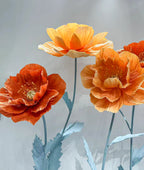 Vibrant Summer Poppy Garden