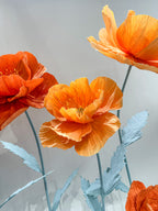 Vibrant Summer Poppy Garden