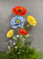 Poppy Reverie