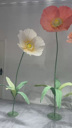 Poppy Reverie